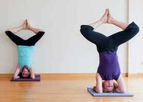 two ladies doing yoga headstands